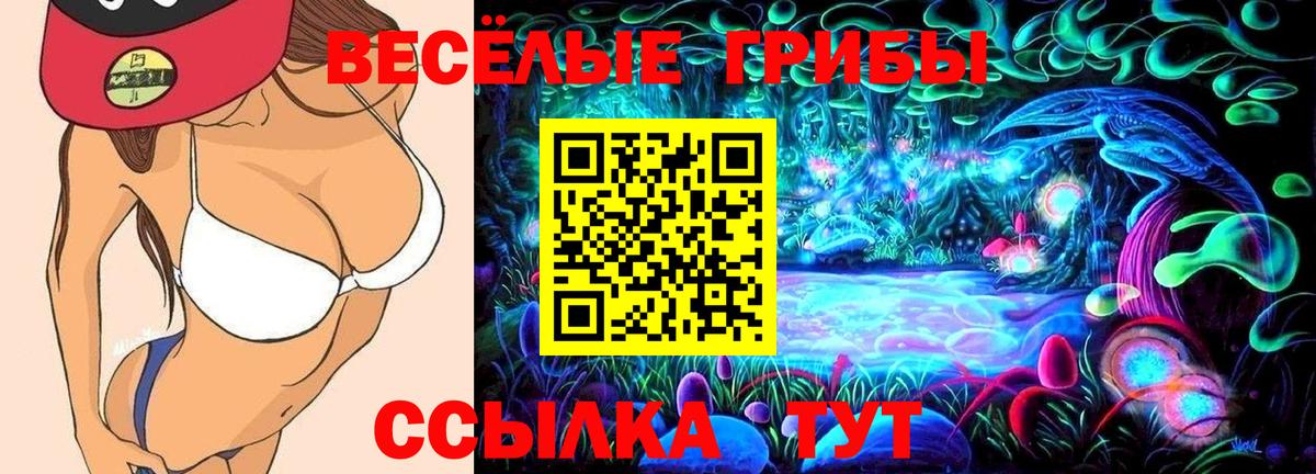 Галлюциногенные грибы GOLDEN TEACHER Норильск