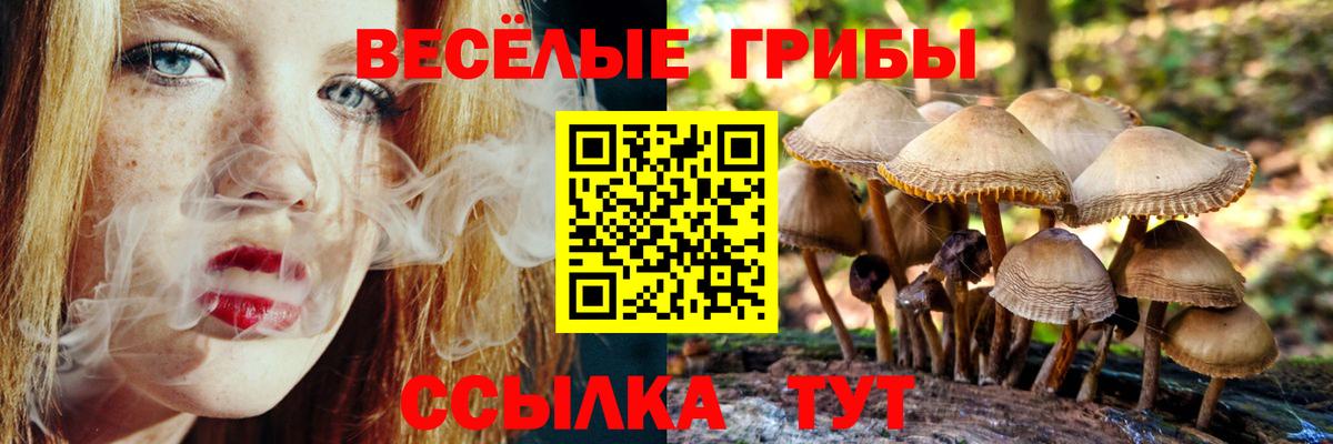 Псилоцибиновые грибы Cubensis  Галлюциногенные грибы Psilocybe  Норильск 