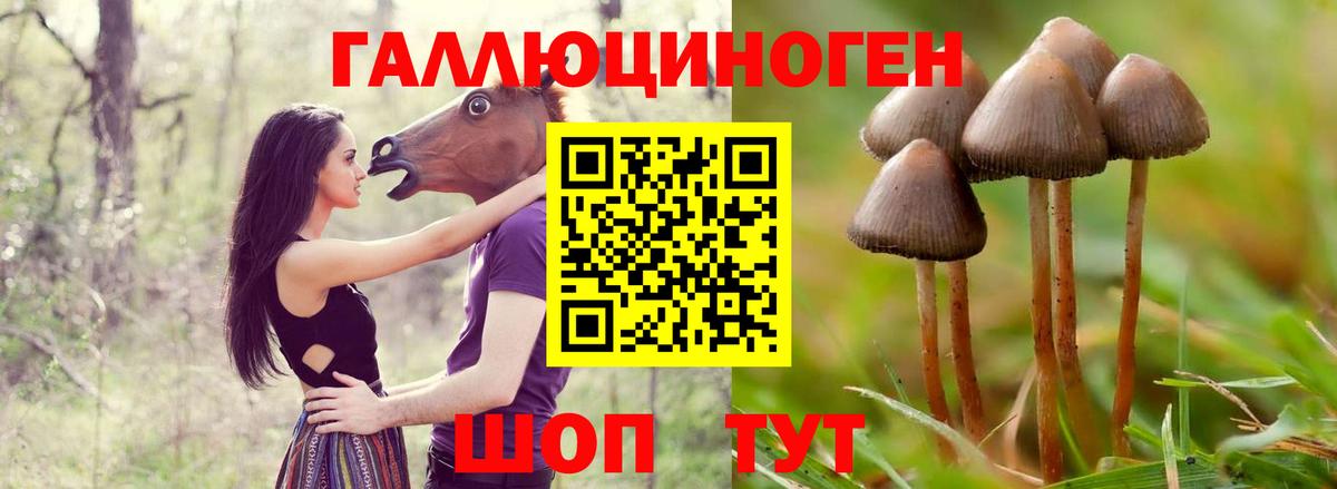 Галлюциногенные грибы Psilocybine cubensis  Вход с VPN  хочу наркоту  Норильск 