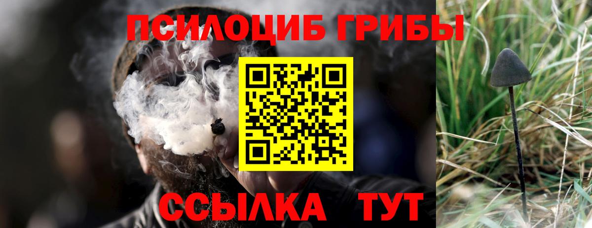 Галлюциногенные грибы Magic Shrooms Норильск